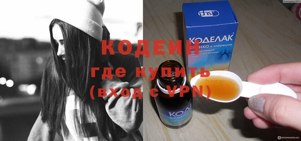 крисы Новозыбков