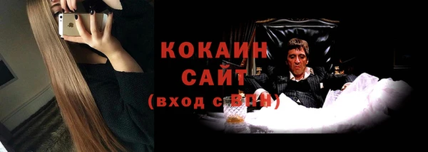 трава Новодвинск