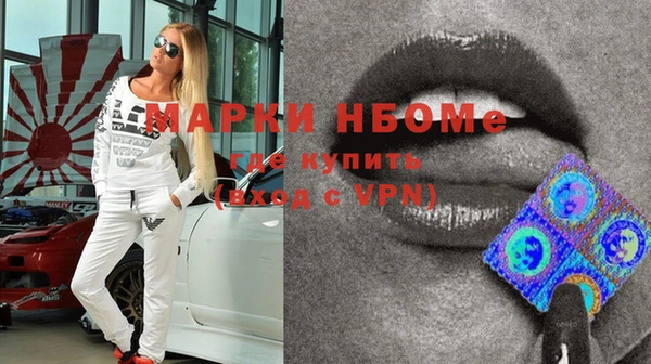 крисы Новозыбков