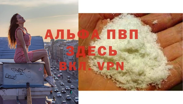 крисы Новозыбков
