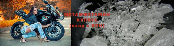 крисы Новозыбков
