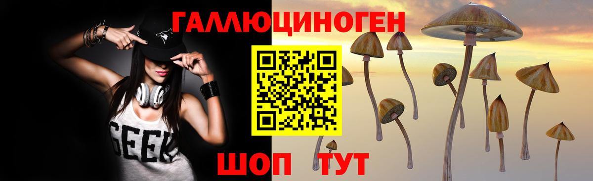 Псилоцибиновые грибы GOLDEN TEACHER  Вход с VPN  Галлюциногенные грибы Psilocybine cubensis  Большой Камень 